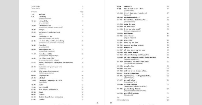 Cấu trúc bài tập và nội dung đặc biệt trong sách essential grammar in use supplementary exercises